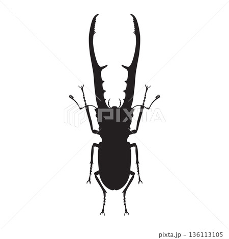 silhouettes of Staghorn beetle or lucanus cervus  136113105