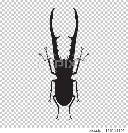 silhouettes of Staghorn beetle or lucanus cervus  136113105