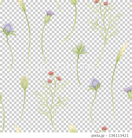 Field flowers watercolor seamless pattern on white. Spring blooming meadow repeat background with grass and floral buds in pastel green colors. Simple and delicate wallpaper or wrapping paper print 136113421