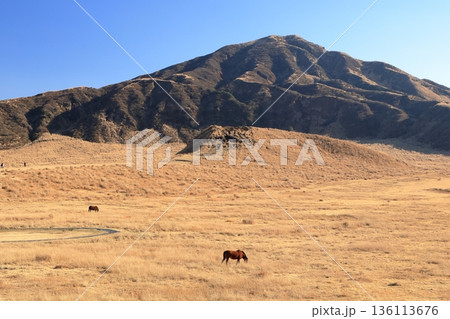 熊本県　阿蘇山草千里ヶ浜の風景 136113676