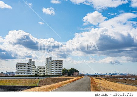 淀川左岸スーパー堤防上のマンション 枚方市 淀川左岸スーパー堤防上のマンション 枚方市 136113713