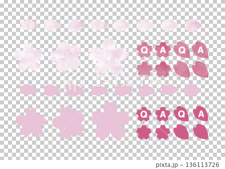 水彩風のベクター桜のあしらいセット 水彩風のベクター桜のあしらいセット 136113726