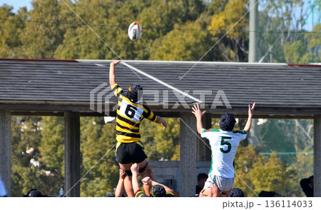 ラグビー、高校ラグビー ラグビー、高校ラグビー 136114033