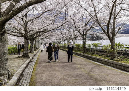 京都府七谷川　和らぎの道 136114349