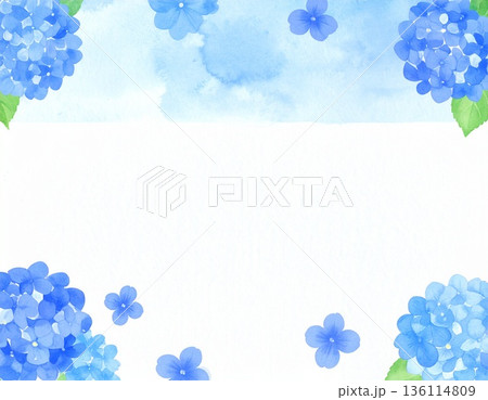 青色のアジサイのフレーム 青色のアジサイのフレーム 136114809