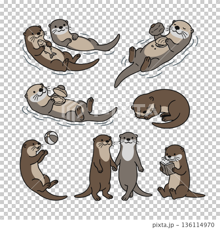 Cute otter pose and movement illustration set variations 136114970