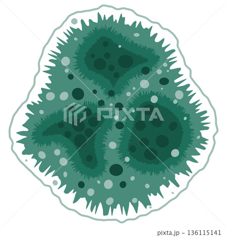 Green mold fungus growth illustration 136115141