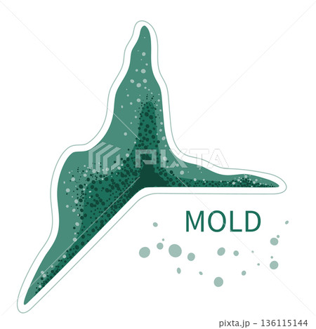 Green mold and fungal spores frame. Vector illustration. 136115144