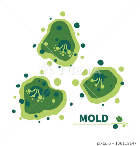 Green fungus spores growth vector illustration set 136115147