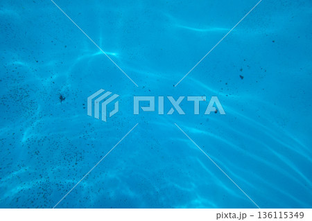 various various 136115349