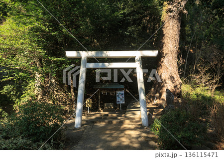 伊豆熱海夫婦日帰り旅行 136115471