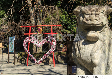 伊豆熱海夫婦日帰り旅行 伊豆熱海夫婦日帰り旅行 136115508