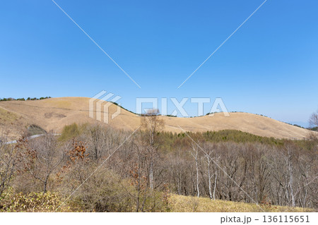 長野県車山高原を走るビーナスラインから見た風景 136115651