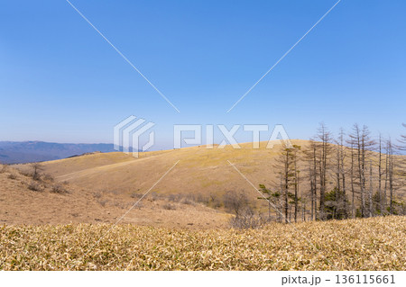 長野県車山高原を走るビーナスラインから見た風景 136115661