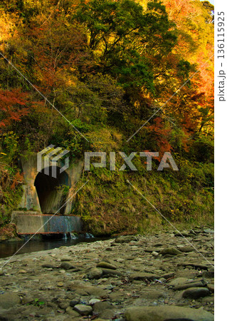紅葉に彩られた川辺 紅葉に彩られた川辺 136115925
