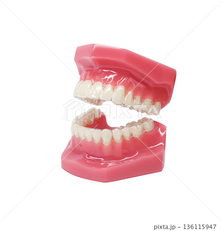インビザライン マウスピース矯正 イラスト リアル インビザライン マウスピース矯正 イラスト リアル 136115947