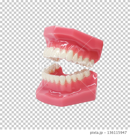 インビザライン マウスピース矯正 イラスト リアル インビザライン マウスピース矯正 イラスト リアル 136115947