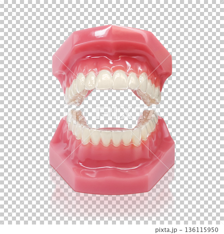 インビザライン マウスピース矯正 イラスト リアル 136115950