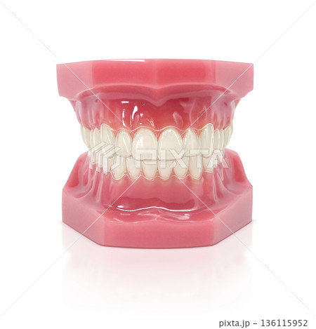 インビザライン マウスピース矯正 イラスト リアル 136115952