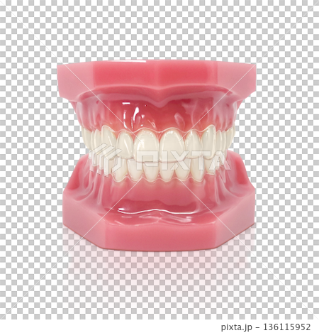 インビザライン マウスピース矯正 イラスト リアル 136115952