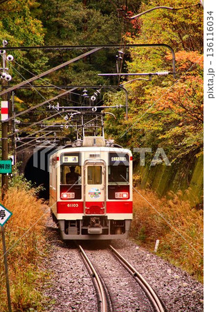 紅葉の秘境駅『男鹿高原』にて… 南会津路を快走する【6050系】 電車 紅葉の秘境駅『男鹿高原』にて… 南会津路を快走する【6050系】 電車 136116034