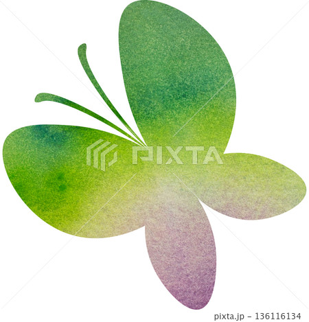 綺麗な水彩模様の蝶のアイコンのイメージのイラスト 綺麗な水彩模様の蝶のアイコンのイメージのイラスト 136116134