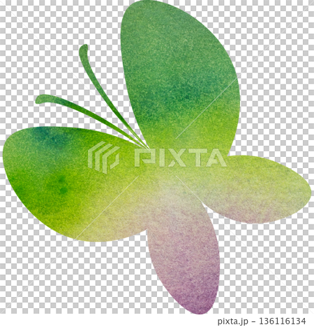 綺麗な水彩模様の蝶のアイコンのイメージのイラスト 綺麗な水彩模様の蝶のアイコンのイメージのイラスト 136116134