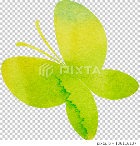 Beautiful watercolor butterfly icon image illustration Beautiful watercolor butterfly icon image illustration 136116137