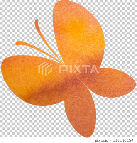 Beautiful watercolor butterfly icon image illustration Beautiful watercolor butterfly icon image illustration 136116154