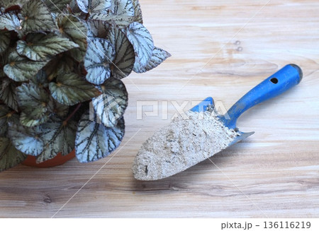 Fertilization with using wooden ash full of calcium and potassium.  136116219