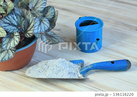 Fertilization with using wooden ash full of calcium and potassium. Fertilization with using wooden ash full of calcium and potassium. 136116220