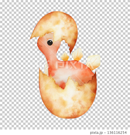 Cute dinosaur hatched from an egg. Watercolor hand drawn prehistoric Tyrannosaurus Rex, Brachiosaurus animal. Isolated illustration on transparent background. Perfect for for nursery and baby shower 136116254