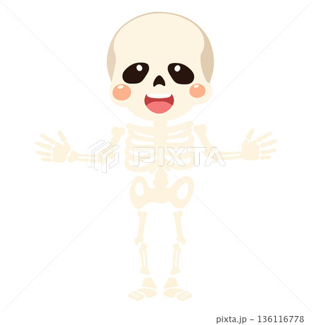 Cute Skeleton Character Illustrationのイラスト素材 [136116778] - PIXTA