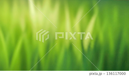 blurred background green grass texture with vertical motion blur effect abstract meadow lawn wallpaper natural environment concept fresh summer foliage vivid color 136117000