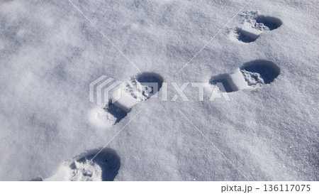 Trail of shoes in the snow, tread in the snow. Trail of shoes in the snow, tread in the snow. 136117075