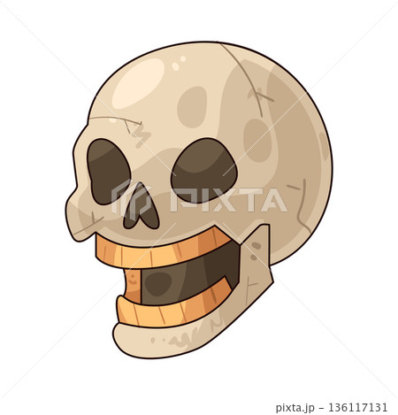 illustration of head skull 136117131