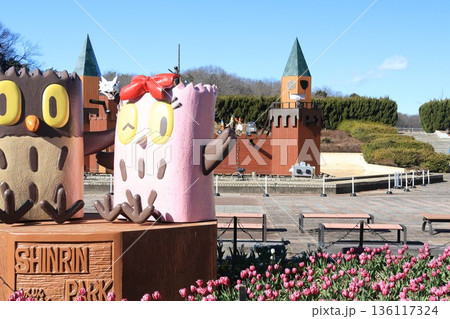 埼玉県滑川町森林公園の風景 136117324