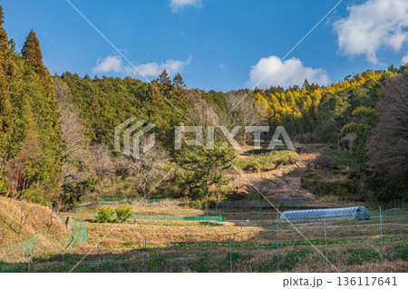 明日香村の里山風景 奈良県 明日香村の里山風景 奈良県 136117641