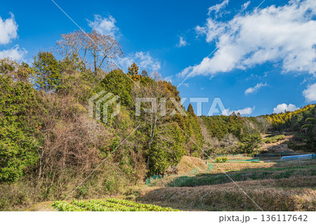 明日香村の里山風景　奈良県 136117642