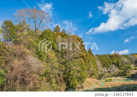 明日香村の里山風景　奈良県 136117643