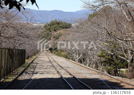 冬枯れの桜並木とインクラインの線路と山並みと街並みと青空の見える風景 冬枯れの桜並木とインクラインの線路と山並みと街並みと青空の見える風景 136117658