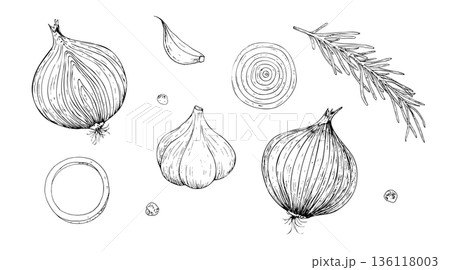 Vector set of vegetables. Fresh onion bulb, whole garlic and clove, rosemary branch. Graphic ink peppercorns illustration, isolated on background. Hand drawn line sketch. For designers, prints, logo 136118003