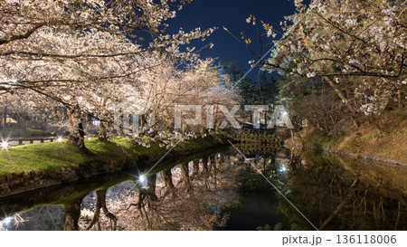 the sakura blooming at night in Hirosaki 136118006