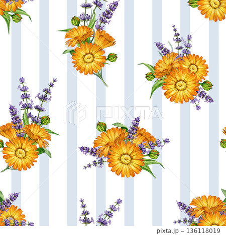 Calendula blossoms and lavender flowers seamless pattern watercolor illustration. Hand drawn fresh calendula flowers mixed with lavender stems bright floral decor element on striped background 136118019