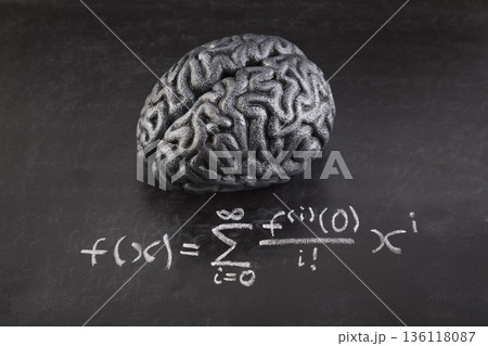 Human brain model with difficult formula math drawn with chalk on scholl blackboard. Science, education and learning concept. 136118087