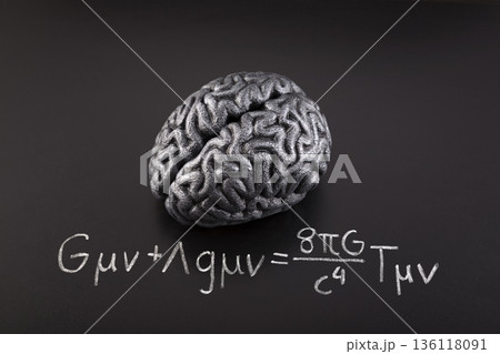 Human brain model with Albert Einstein's Field Equation. Science, education and learning concept. 136118091