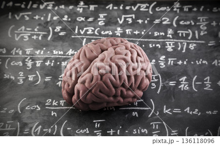 Human brain model with mathematical equations on scholl chalkboard. Science, education and learning concept.  136118096