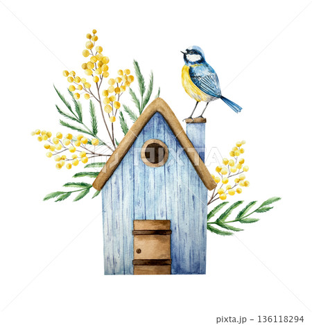 Birdhouse with spring mimosa flowers. Watercolor Eurasian blue tit perche, easter illustration isolated on background, transparent png. Vintage clip art. For greeting card, wallpaper, wrapping paper 136118294