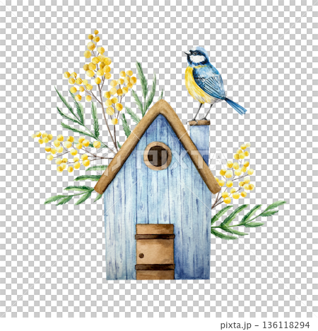 Birdhouse with spring mimosa flowers. Watercolor Eurasian blue tit perche, easter illustration isolated on background, transparent png. Vintage clip art. For greeting card, wallpaper, wrapping paper Birdhouse with spring mimosa flowers. Watercolor Eurasian blue tit perche, easter illustration isolated on background, transparent png. Vintage clip art. For greeting card, wallpaper, wrapping paper 136118294
