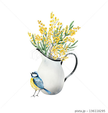 Porcelain jug with spring mimosa flowers. Watercolor Eurasian blue tit perche, ceramic pitcher with Narcissus, easter illustration isolated on background, transparent png. Vintage clip art. For 136118295